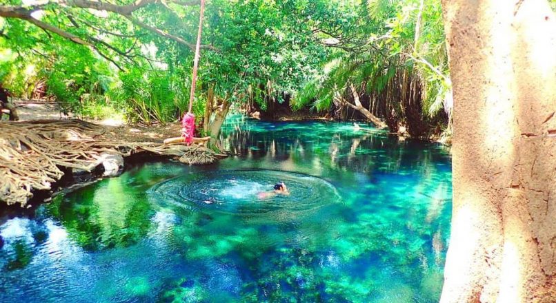 Travelers relaxing in the translucent, warm turquoise waters of Chemka (Kikuletwa) Hot Springs, shaded by overhanging fig trees.