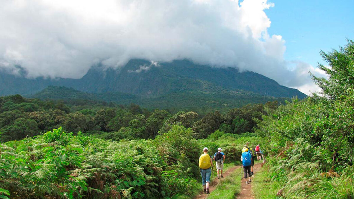 A group of hikers with trekking poles walking along a narrow ridgeline toward the jagged silhouette of Mount Meru under a clear blue sky.