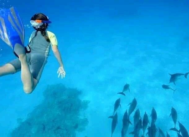 A person swimming in the crystal-clear turquoise waters of Zanzibar, surrounded by vibrant tropical fish and coral reefs.